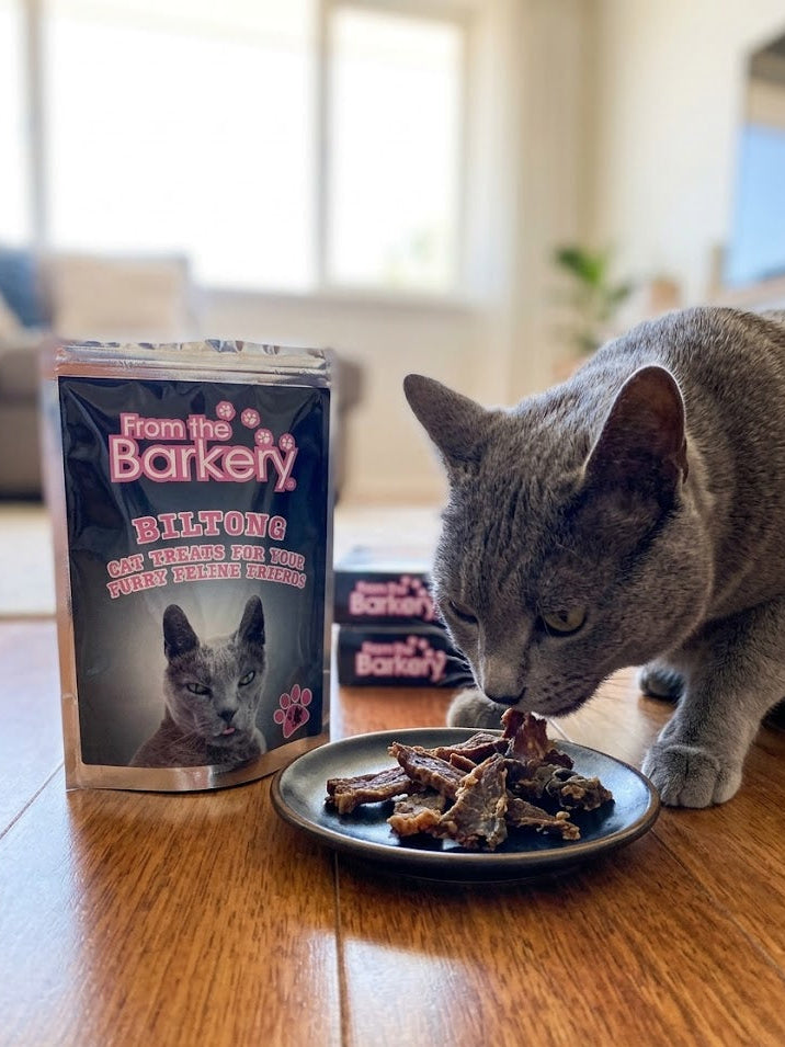 Natural Biltong Cat Treats โ Premium High-Protein Snacks for Cats
