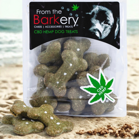 The Health Benefits of CBD for Animals: A Natural Wellness Solution
